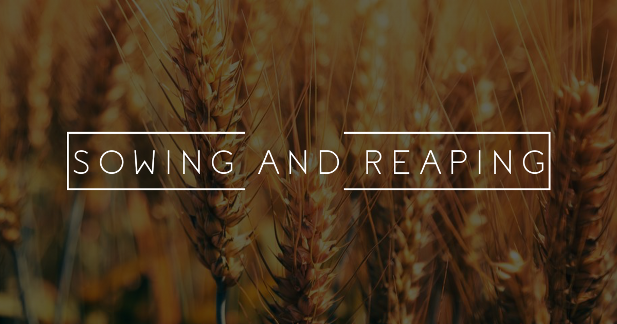 Sowing and Reaping Part 1 Sermons New Horizons Community Church