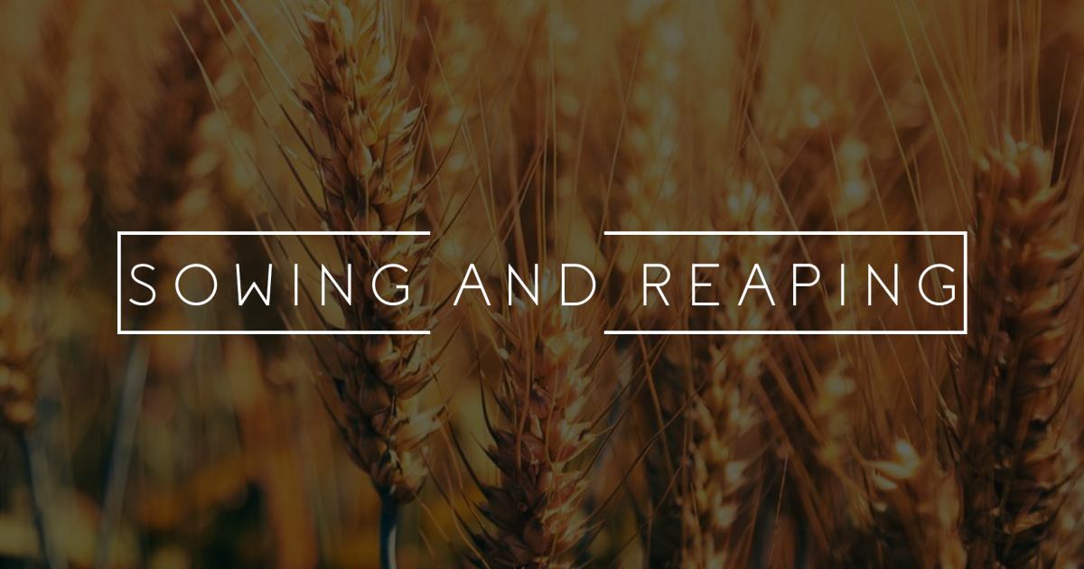 Sowing and Reaping Part 1 | Sermons | New Horizons Community Church